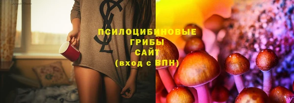 соль ск Алзамай