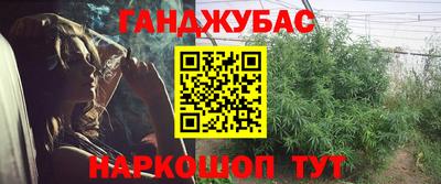индика Гудермес