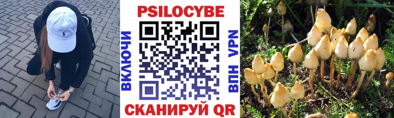 маркетплейс состав Серов mega ONION Галлюциногенные грибы Magic Shrooms где можно купить наркотик