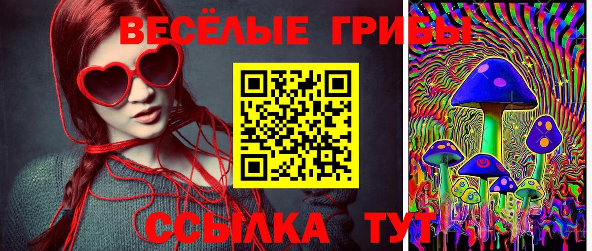 Псилоцибиновые грибы прущие грибы Серов